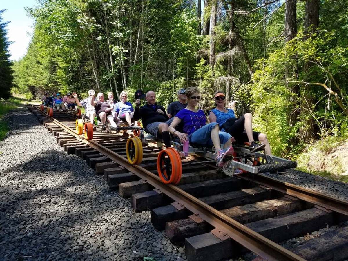 Group riding rail bikes on a forest track with trees in the background.