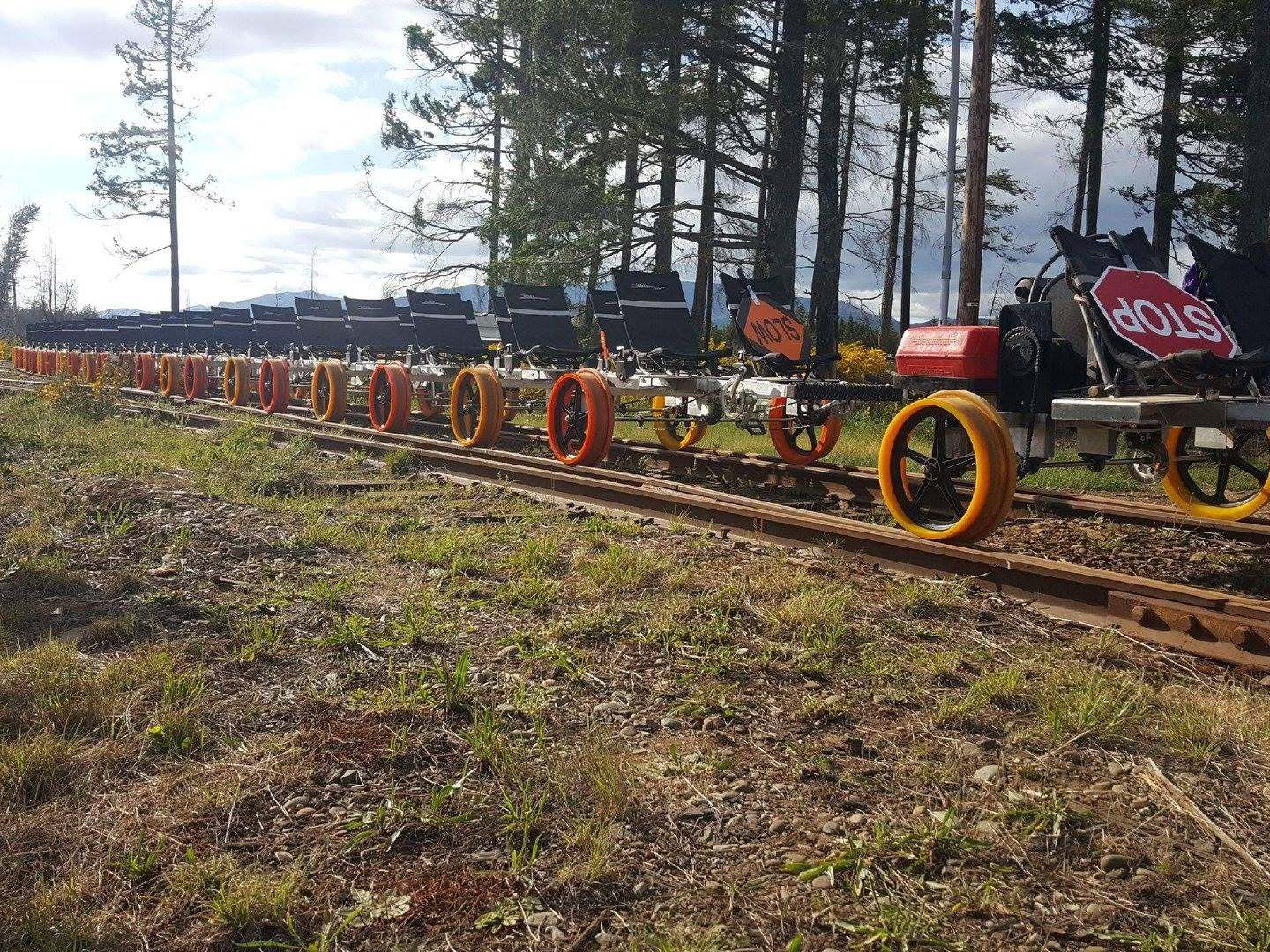 Rail carts with yellow wheels lined up on train tracks in a forested area.