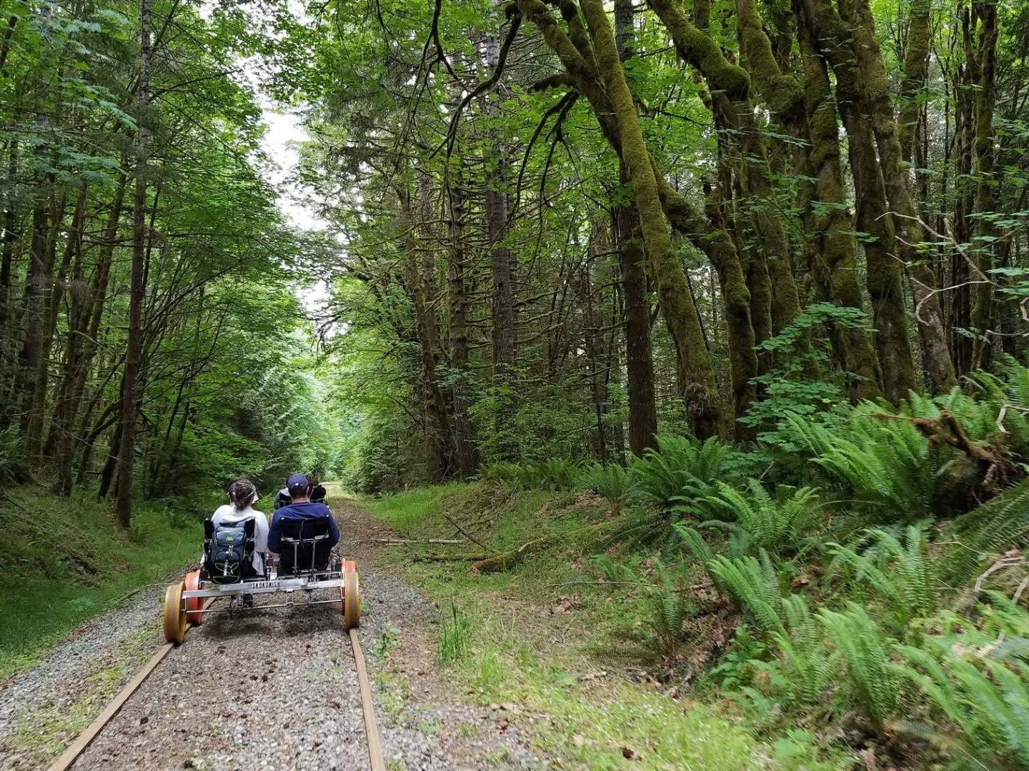 Two people on a rail bike on a forested track.
