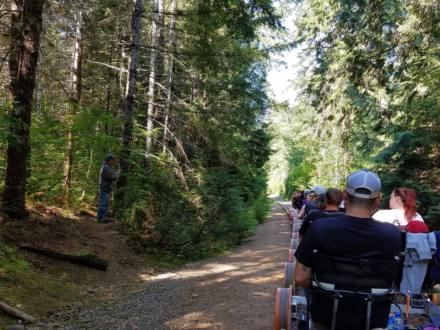 People riding rail bikes on a forest trail, surrounded by trees.