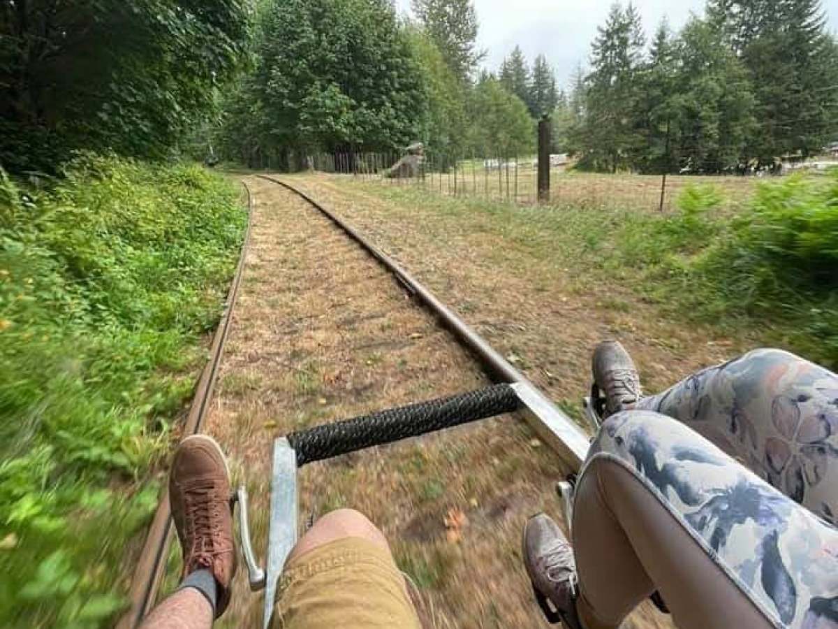 View from railbike showing forested tracks and two riders' legs.