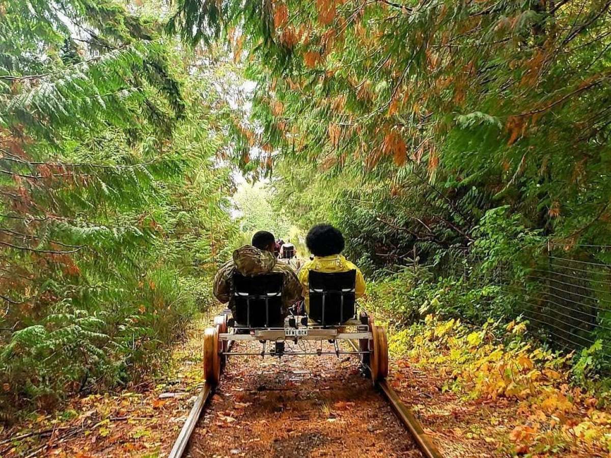 Two people on a railbike surrounded by lush greenery on a forest track.