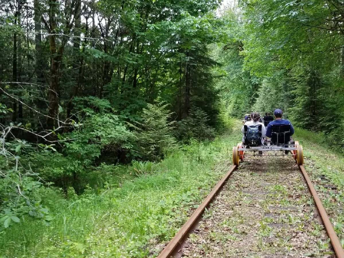 People on a pedal-powered rail bike on a forest track.