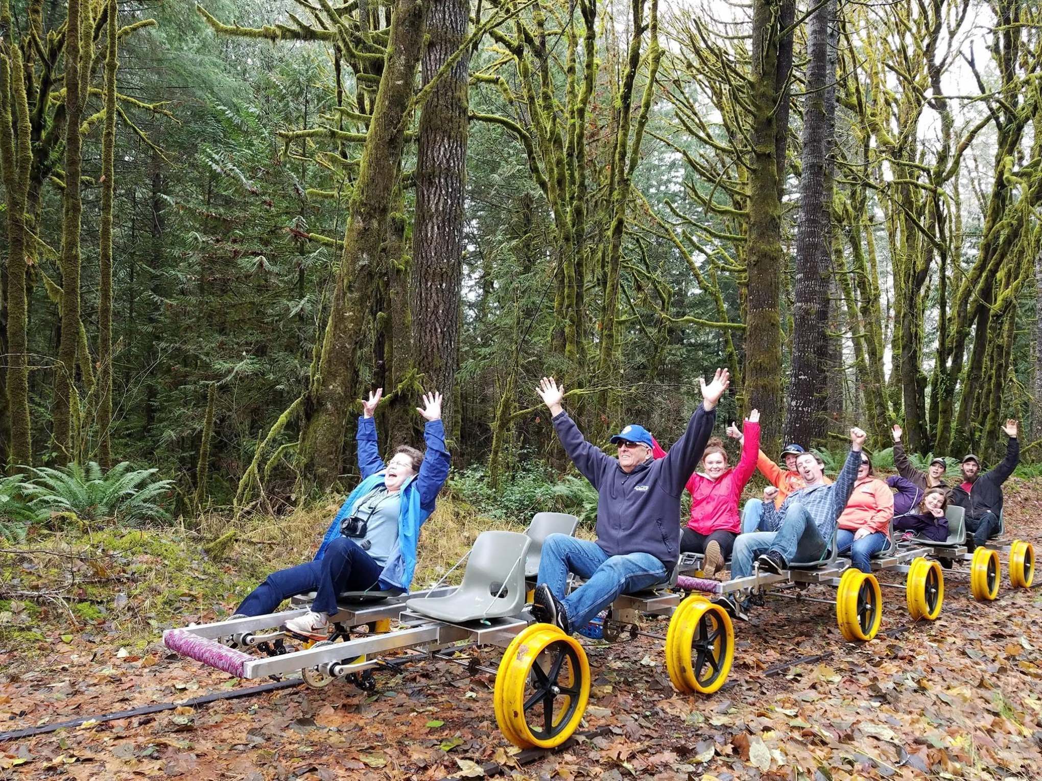 People riding on a rail bike through a forest, raising their hands in excitement.