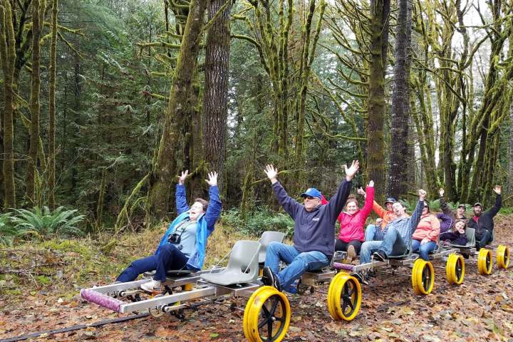 People riding on a rail bike through a forest, raising their hands in excitement.