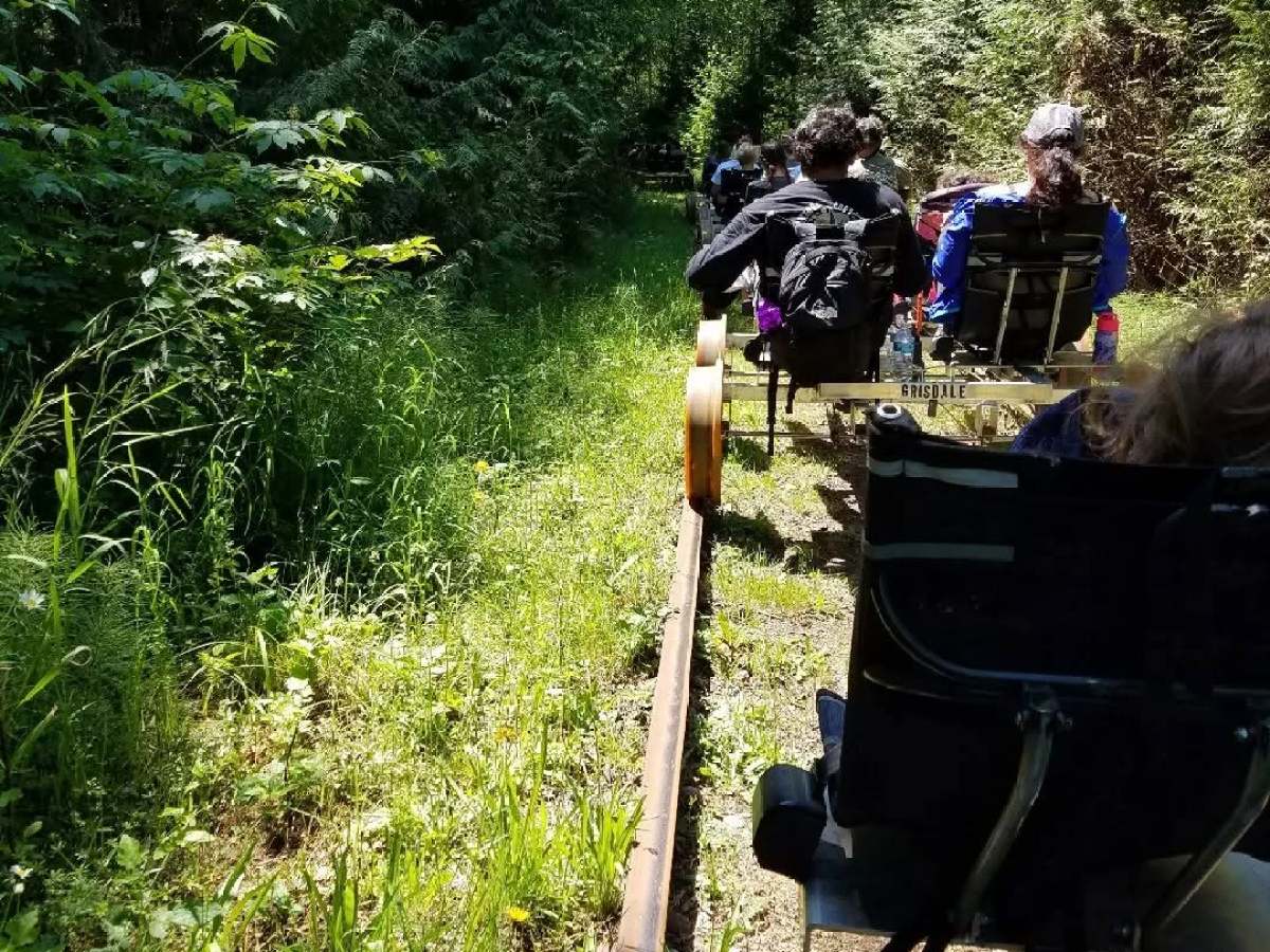 People riding rail bikes through lush green forest on a sunny day.