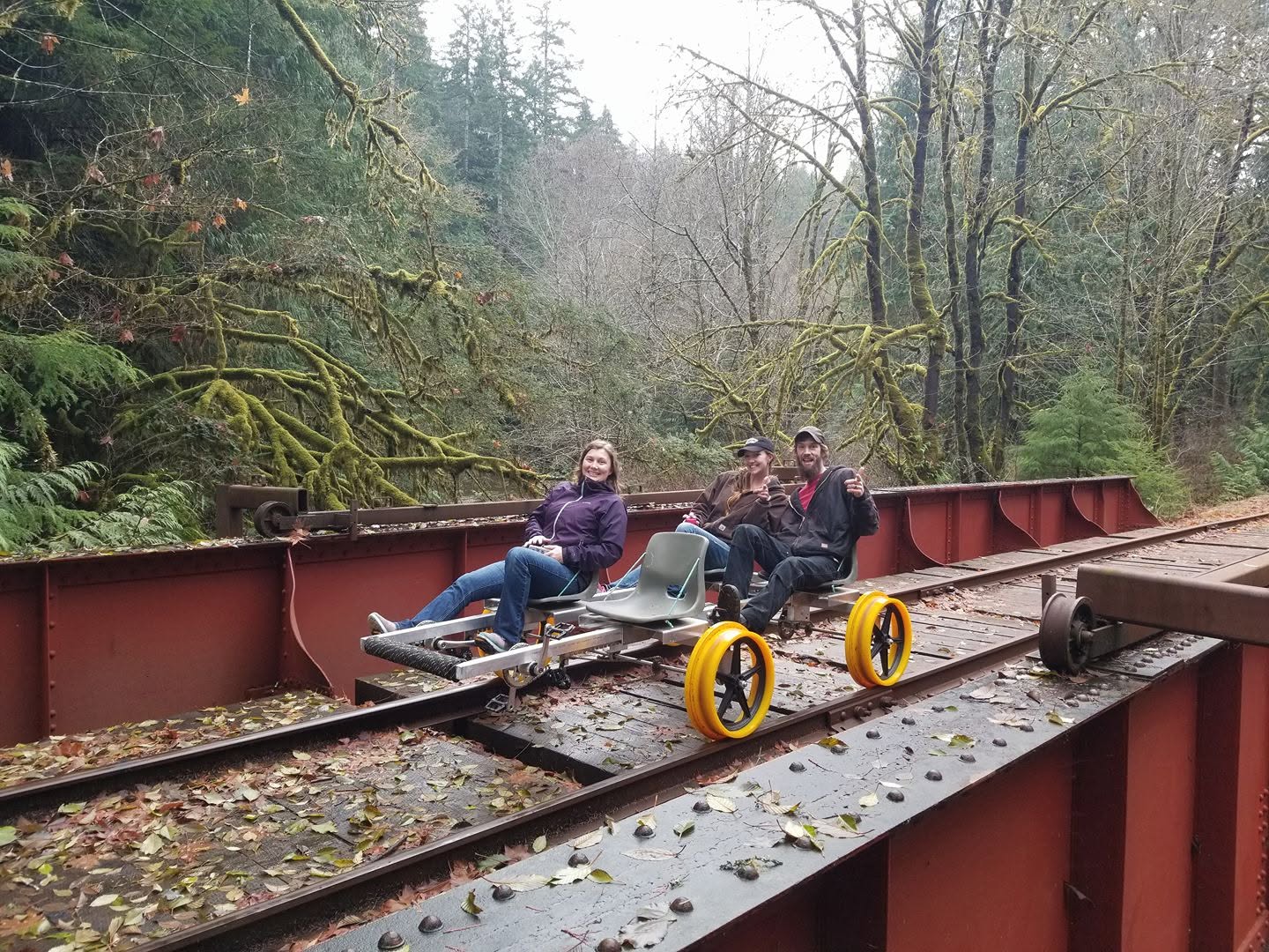 Three people sitting on a railbike on railway tracks in a forested area.