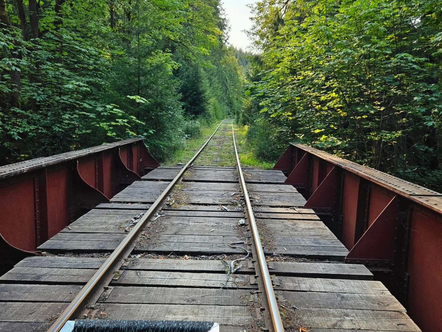 Railway tracks on a wooden bridge through a forested area.