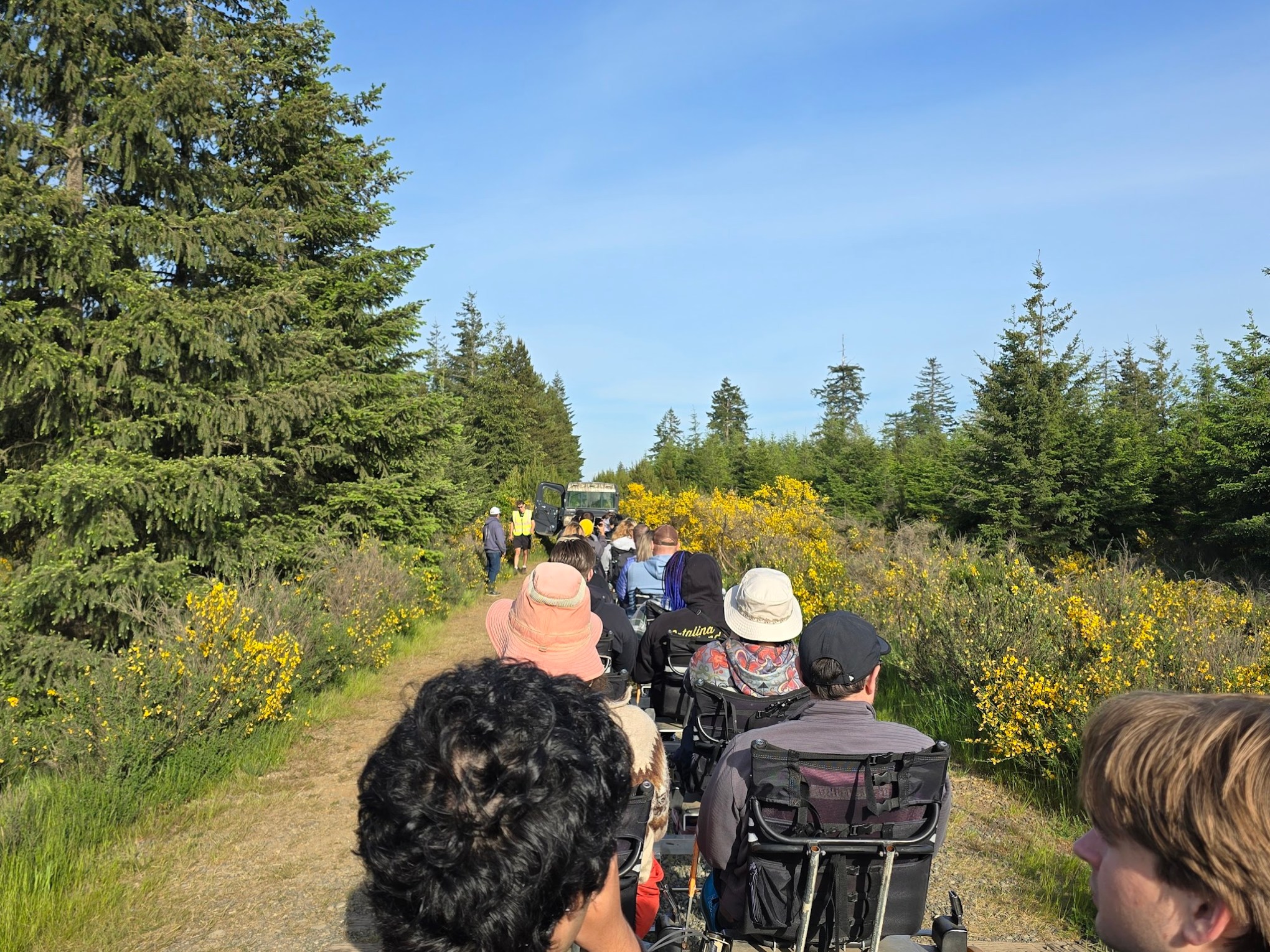 People in wheelchairs on a forest trail surrounded by trees and flowers.