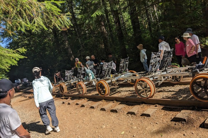 Group preparing to ride pedal-powered carts on railway tracks in a forest.