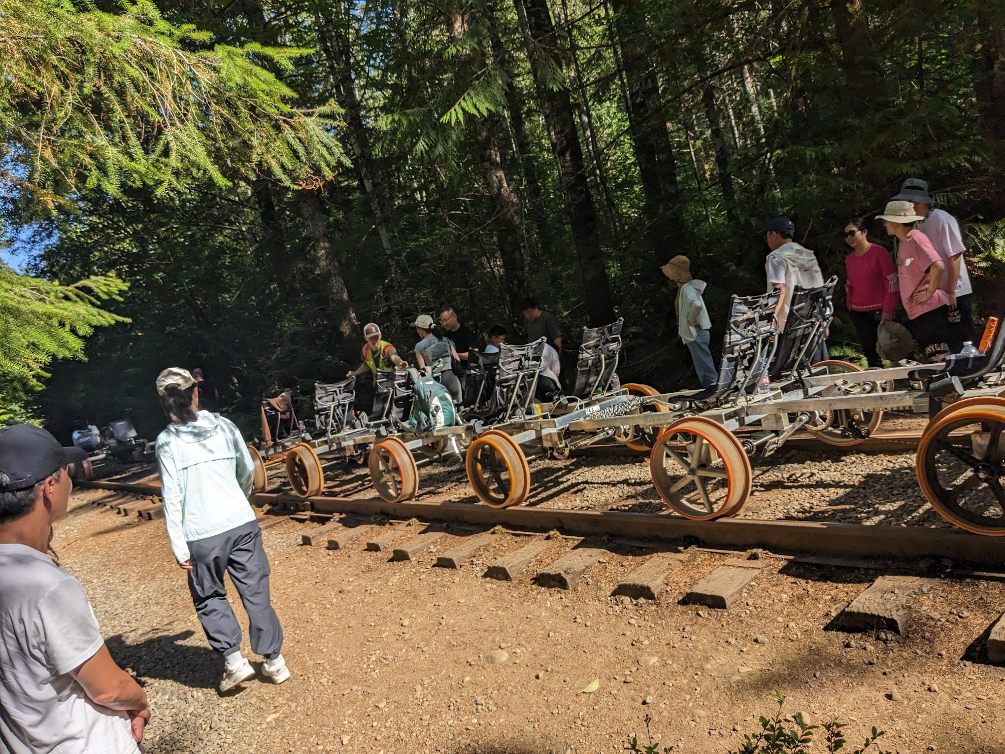 Group of people with pedal-powered rail carts on forested train tracks.