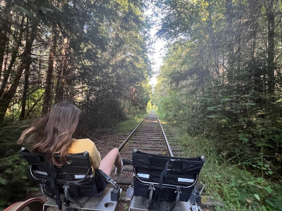 Two people on a railbike ride through a forested area.