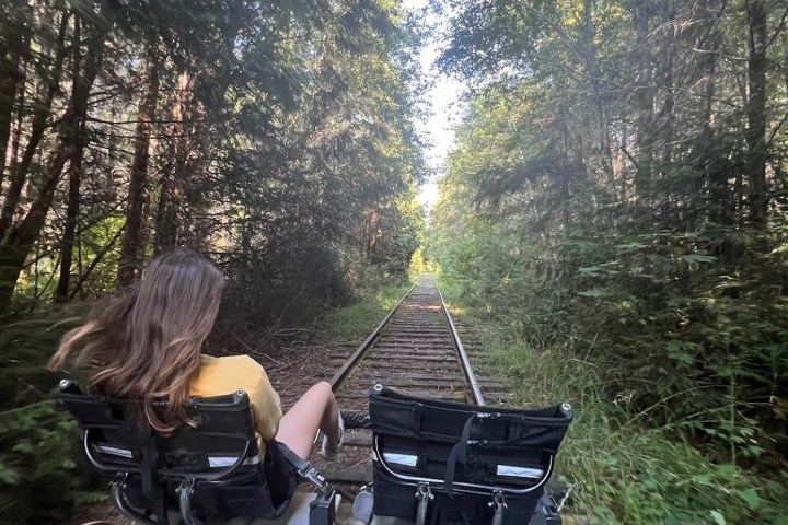 Two people on a railbike ride through a forested area.