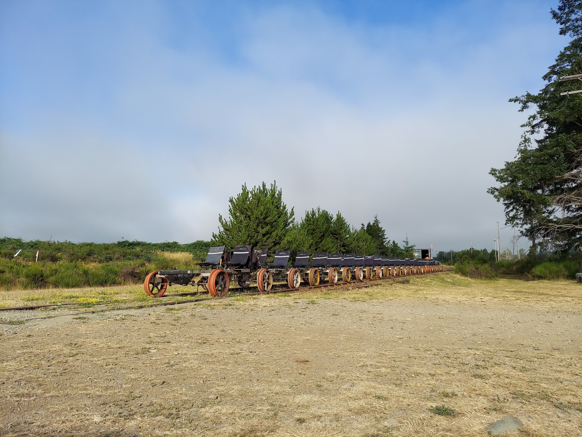 Long row of old mining carts on tracks in a grassy field with trees in the background.