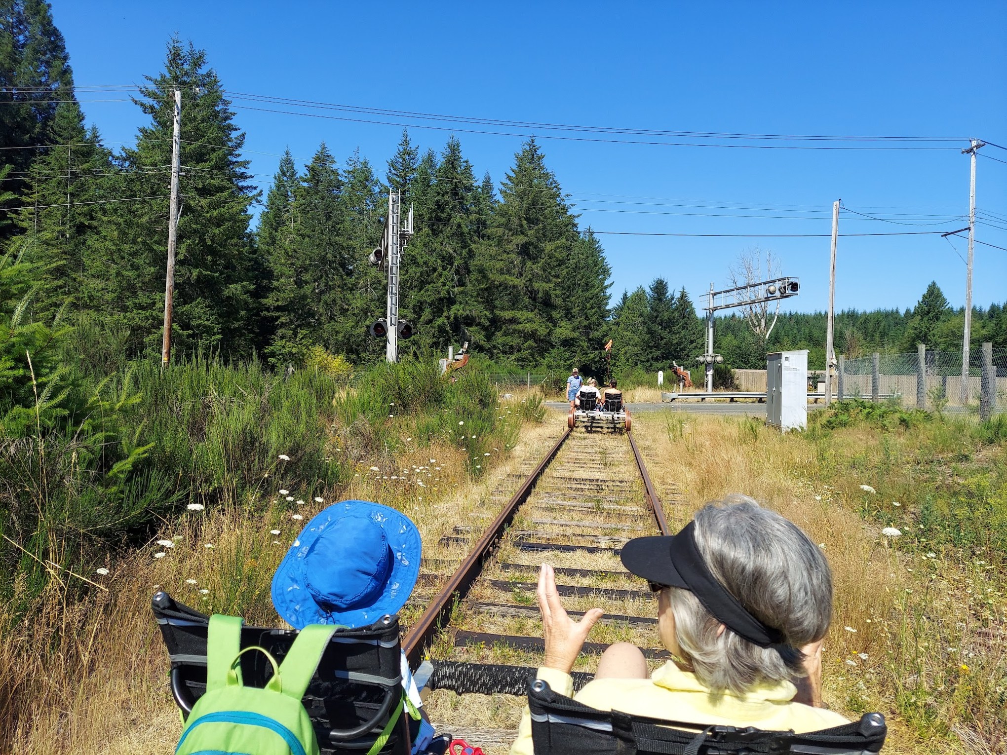 People riding rail bikes on a scenic railway track through forested area.
